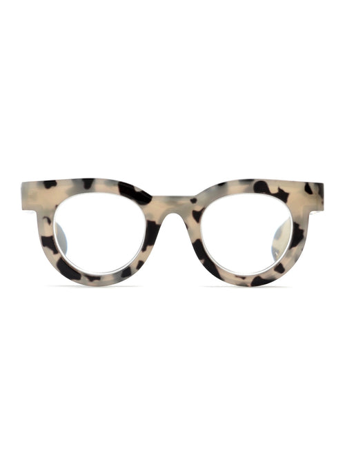 Arti Readers in Bone Tortoise