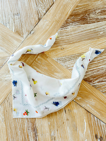 Fruit Stand Scarf