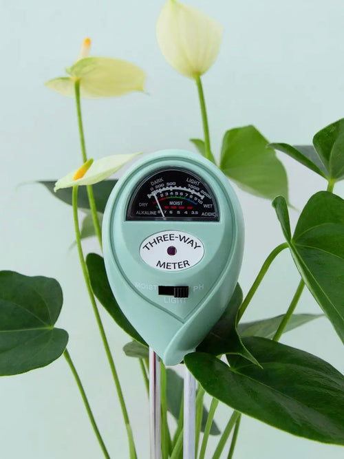3-in-1 Moisture Meter in Lagoon