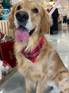 Flannel Dog Scarf in Red Berry