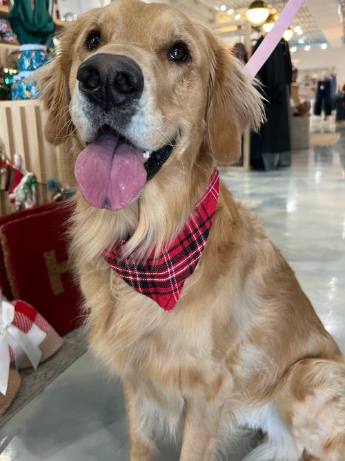 Flannel Dog Scarf in Red Berry
