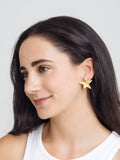 Star Studs