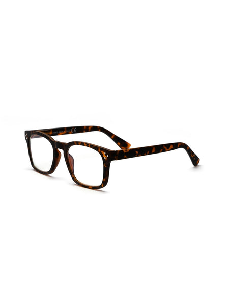 Jackson Readers in Tortoise