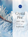 Crystal Pine Glimmer Hand Wash 11.8oz