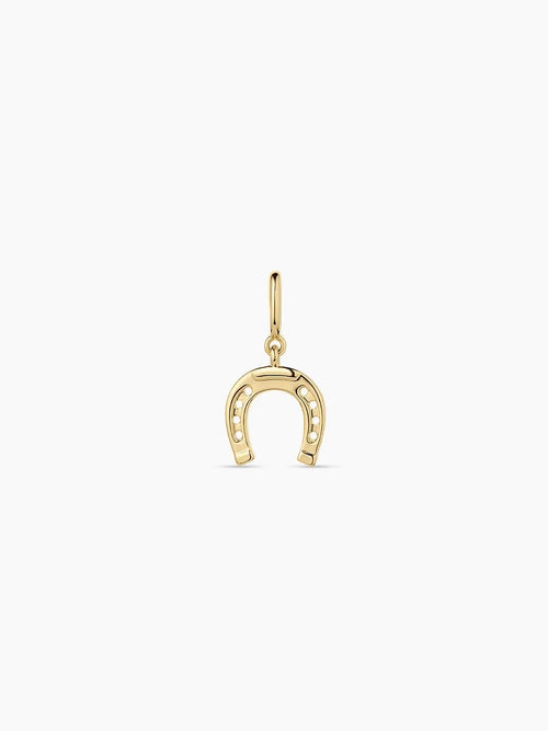 Horseshoe Parker Charm