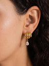 Dovely CZ Drop Earrings