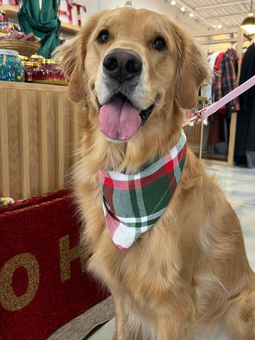 Flannel Dog Scarf in Classic Christmas