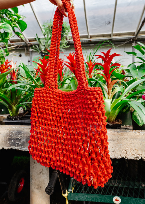 Carlina Woven Bag in Rouge