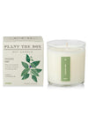 Plant The Box Candle in Crushed Mint