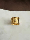 Ela Gold CZ Ring