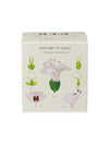 Plant The Box Candle in Fresh Picked Basil