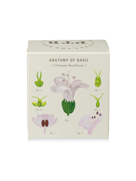 Plant The Box Candle in Fresh Picked Basil