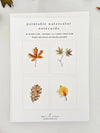Fall Leaves Watercolor Notecard Set