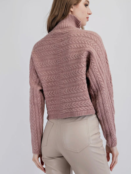 It Goes Both Ways Sweater in Blush