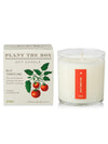 Plant The Box Candle in Wild Tomato Vine