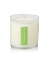 Plant The Box Candle in Fresh Picked Basil