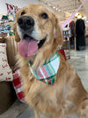 Flannel Dog Scarf in Evergreen