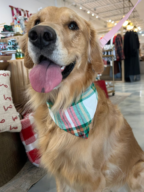 Flannel Dog Scarf in Evergreen