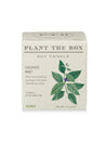 Plant The Box Candle in Crushed Mint