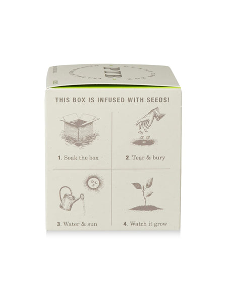Plant The Box Candle in Fresh Picked Basil