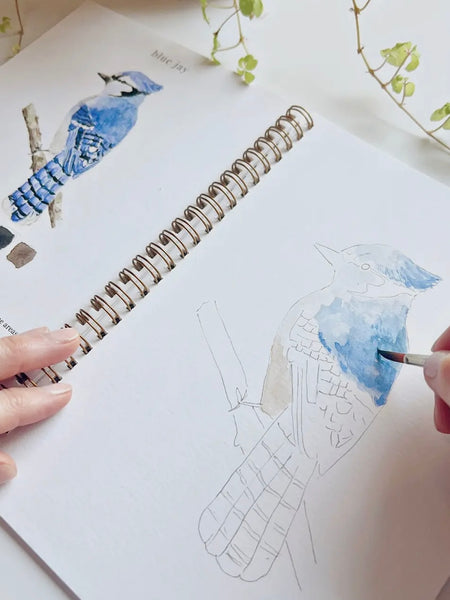 Birds Watercolor Workbook