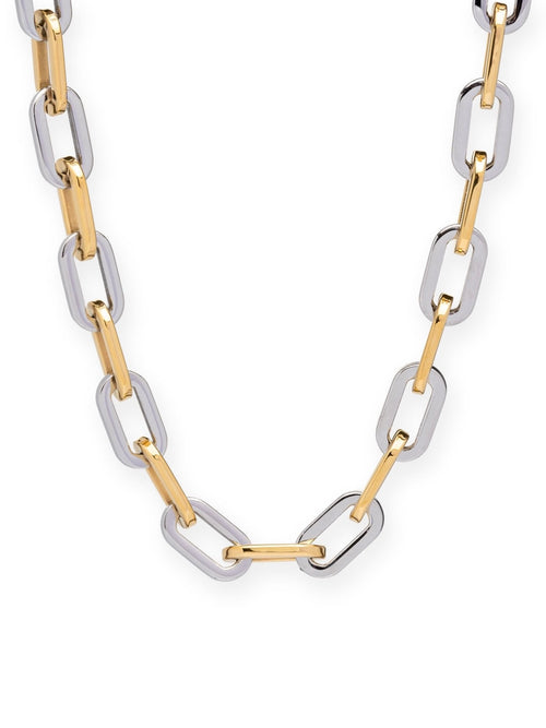 Elle Gage Two Tone Necklace