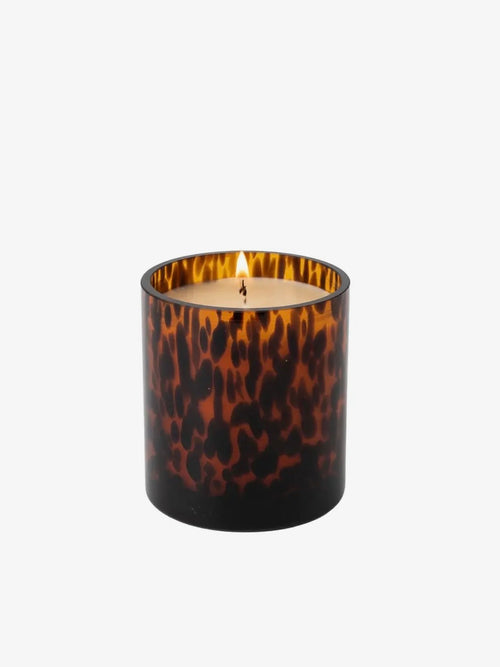 Sweet Grace Tortoise Candle