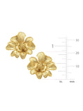 Marigold Flower Studs