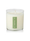 Plant The Box Candle in Crushed Mint