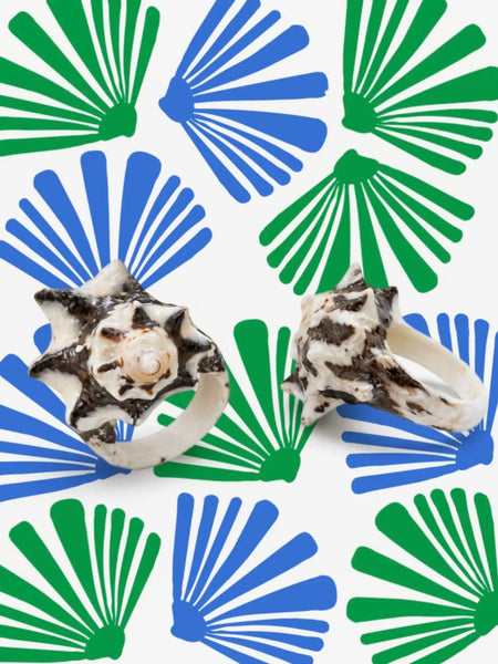 Shell Yeah Seashell Ring in Brown