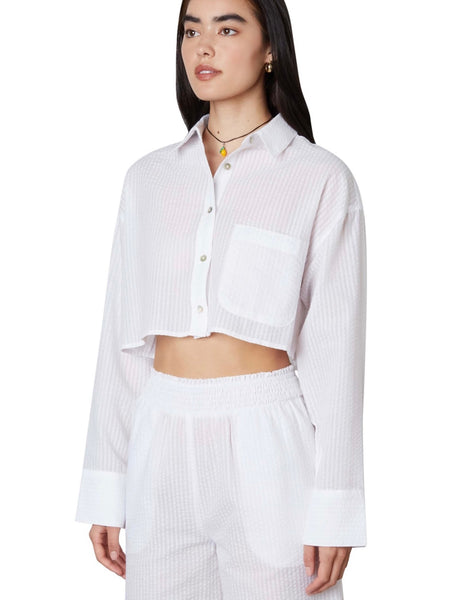 Austin Shirt in White Stripe