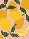 Be Zesty Paint By Numbers Kit