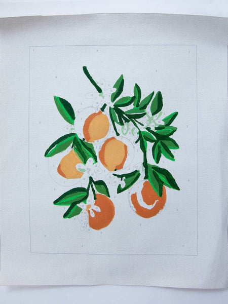 Orange You Glad Paint By Numbers Kit