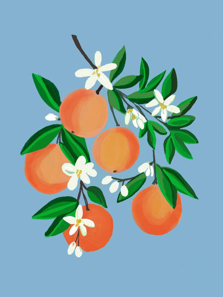 Orange You Glad Paint By Numbers Kit