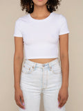 Classic Cropped Baby Tee